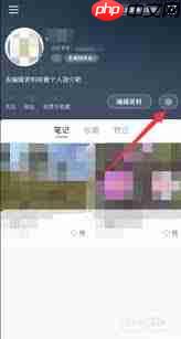 发小红书如何防止被存图  第3张
