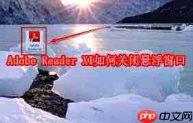 如何关闭Adobe Reader XI悬浮窗口  第2张