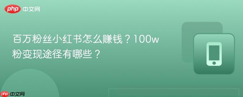 百万粉丝小红书怎么赚钱？100w粉变现途径有哪些？  第1张