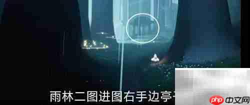 光遇3.20日常任务速通指南