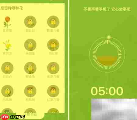爱眼卫士按摩视频观看指南  第5张