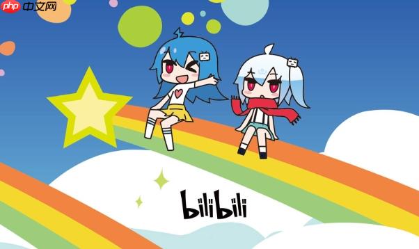 b站怎么查看大会员积分_b站大会员积分查看方法  第1张