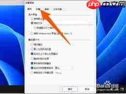 射手影音如何开启自动下载字幕 第1张 射手影音如何开启自动下载字幕 第1张
