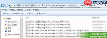 射手影音如何开启自动下载字幕 第2张 射手影音如何开启自动下载字幕 第2张