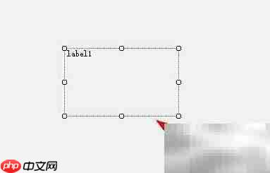 C Label控件大小调整方法  第8张