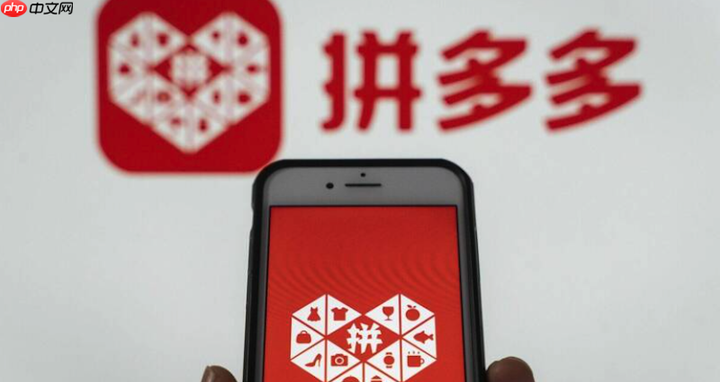 拼多多商家版官网_拼多多商家官网入口  第1张