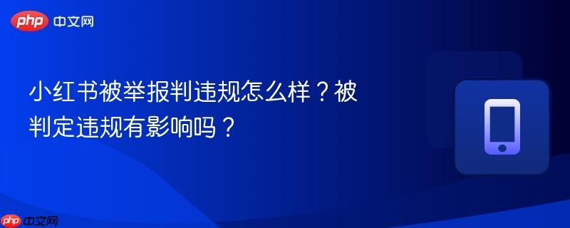 小红书被举报判违规怎么样？被判定违规有影响吗？  第1张