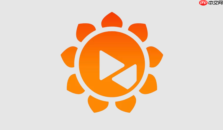 向日葵远程控制官网直达入口 向日葵网页版登录页面  第1张