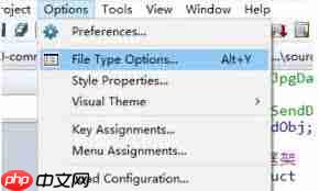 source insight怎么设置高亮  第1张