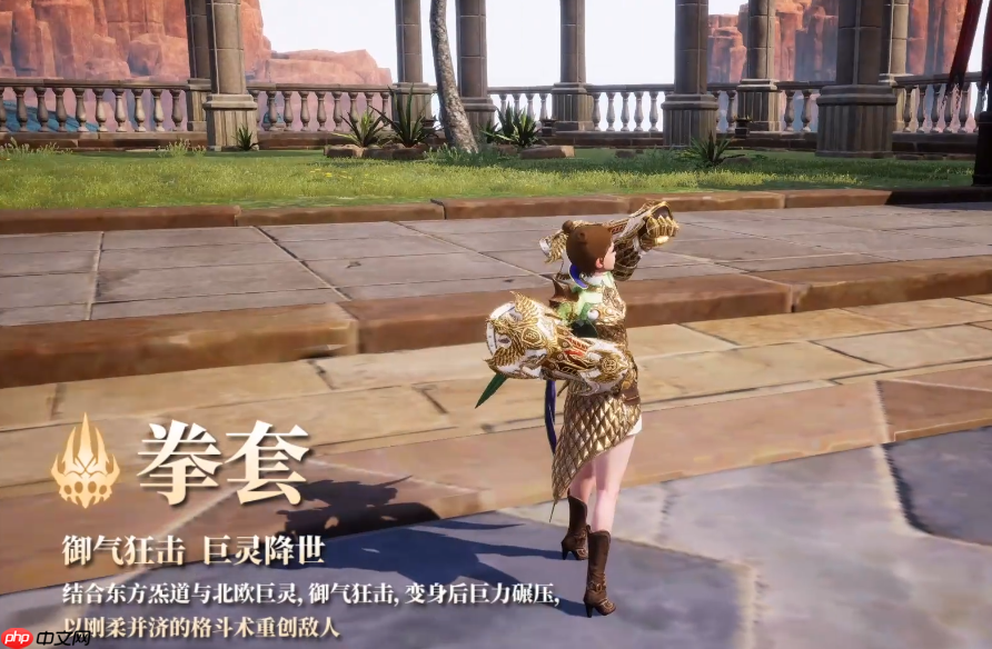 《零度曙光》拳师介绍