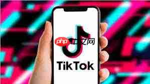 TikTok直播教程是什么