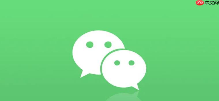 微信Web版能否查看朋友圈_微信Web版朋友圈访问与互动说明【解析】