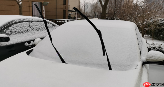 雪天停车时通常会将雨刮器立起来这是为了防止  第1张