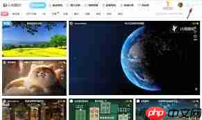 小鸟壁纸如何开启流量监控  第1张