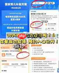 育儿补贴如何申请 第1张 育儿补贴如何申请 第1张