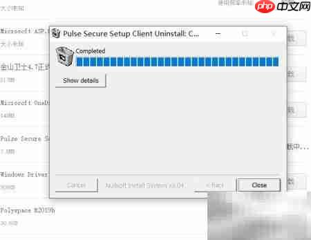 如何卸载校园网Pulse及插件  第6张