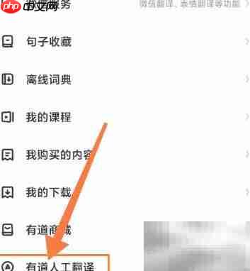 网易有道词典中日翻译技巧  第1张