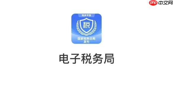 电子税务局忘记密码怎么办 电子税务局找回密码及重置方法  第1张