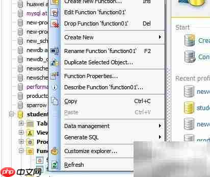 Maestro删除函数参数教程  第4张