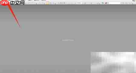 PDF Viewer浏览器显示设置  第1张