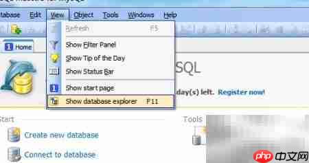 Maestro删除函数参数教程  第2张