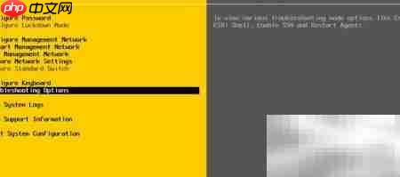 控控远程控制VM-Esxi指南 第9张 控控远程控制VM-Esxi指南 第9张