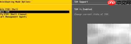 控控远程控制VM-Esxi指南 第10张 控控远程控制VM-Esxi指南 第10张