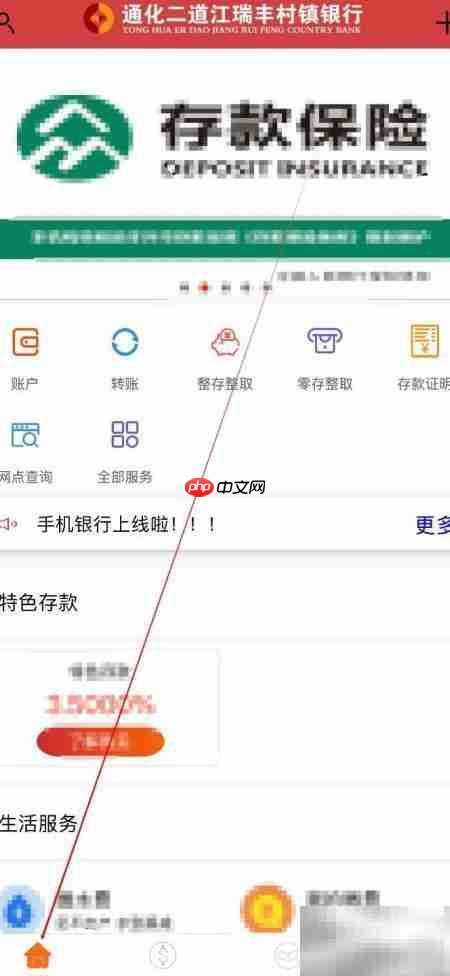 通化瑞丰银行灰名单查询  第1张