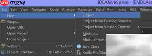 IntelliJ开发Java入门指南  第6张