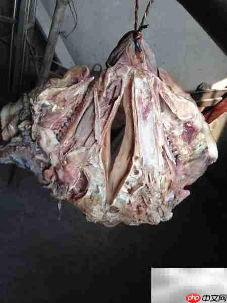 猪头糕制作方法详解  第2张