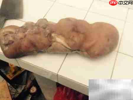 猪头糕制作方法详解  第9张