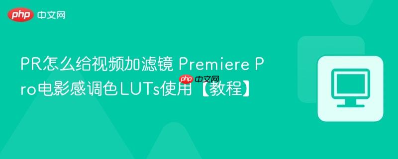 PR怎么给视频加滤镜 Premiere Pro电影感调色LUTs使用【教程】
