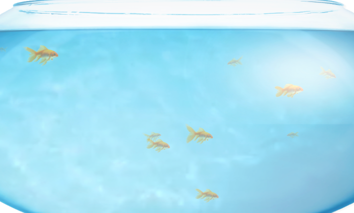 鱼缸测试网址Fishbowl 在线金鱼跑分测试入口  第1张