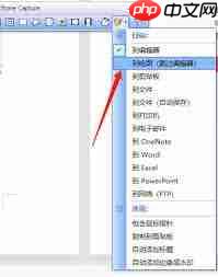 FastStone Capture如何设置截图箭头  第3张
