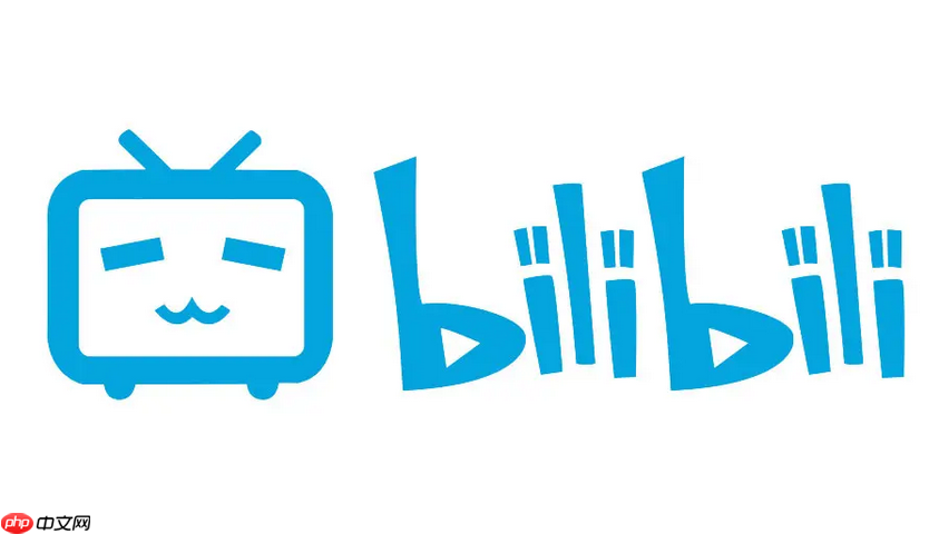 哔哩哔哩官网网页入口_哔哩哔哩官网网页入口无广告直达首页更便捷  第1张
