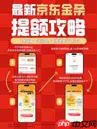 京东金融借款流程是什么  第3张