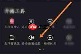 快手直播伴侣如何更改语速 第3张 快手直播伴侣如何更改语速 第3张