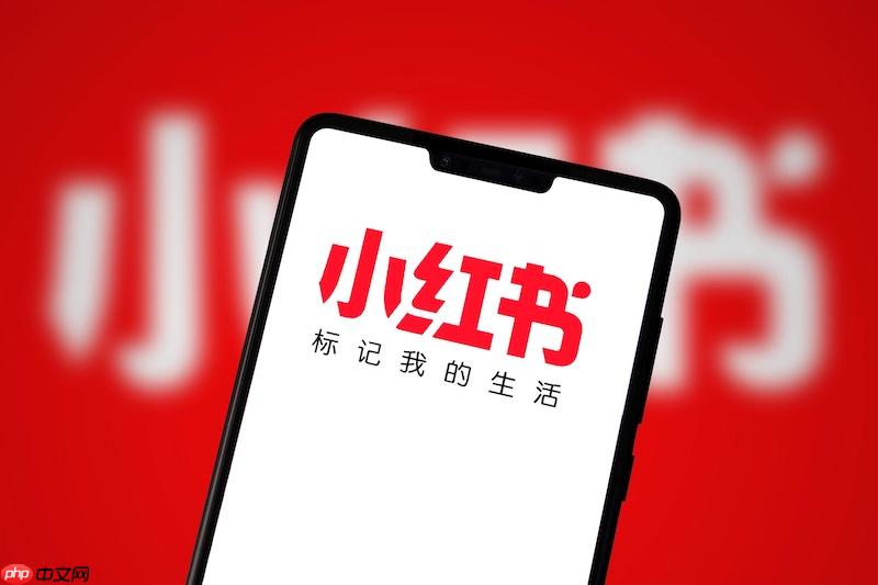 小红书网页版怎么登录 第1张 小红书网页版怎么登录 第1张