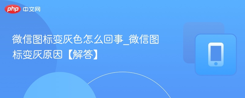微信图标变灰色怎么回事_微信图标变灰原因【解答】 第1张 微信图标变灰色怎么回事_微信图标变灰原因【解答】 第1张