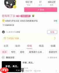 B站国产大片视频为何消失了 第2张 B站国产大片视频为何消失了 第2张