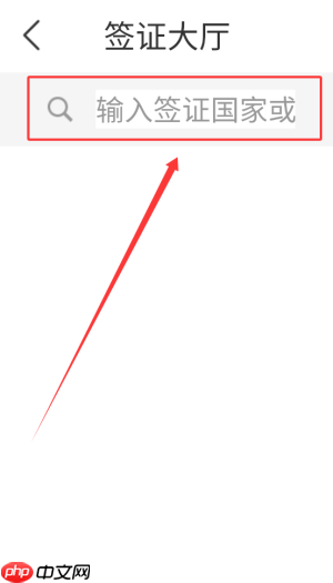 《中青旅遨游旅行》办理签证方法 第3张 《中青旅遨游旅行》办理签证方法 第3张