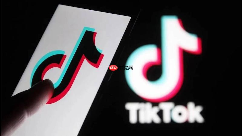 TikTok账号登录异常怎么办 TikTok账号登录修复方法  第1张
