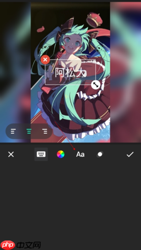 《inshot》导入字体教程 第3张 《inshot》导入字体教程 第3张