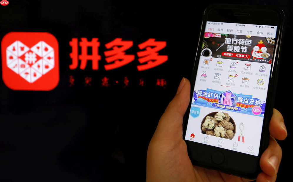 拼多多店铺收入的钱在哪里_拼多多店铺收入查看位置及明细查询