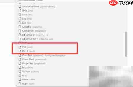 VS Code创建Perl文件教程  第4张