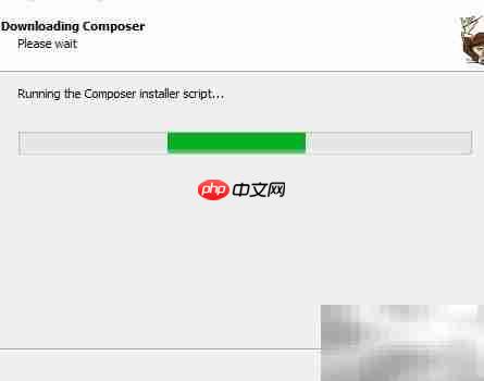 Win10安装Composer教程  第5张