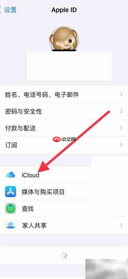 iCloud允许系统数据上传  第2张