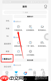 中国移动app怎么开通国际漫游  第2张