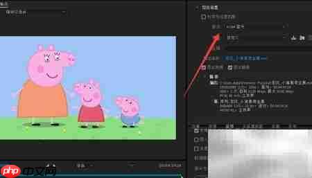 PR导出m4v转mkv方法