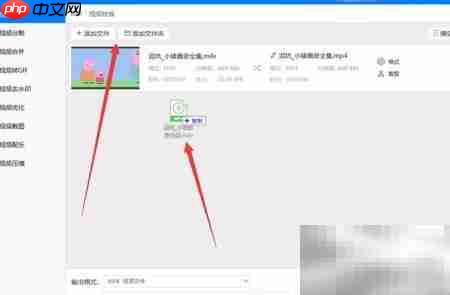 PR导出m4v转mkv方法  第3张